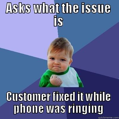 ASKS WHAT THE ISSUE IS CUSTOMER FIXED IT WHILE PHONE WAS RINGING Success Kid