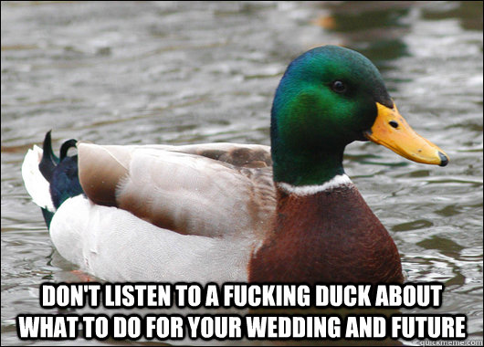  don't listen to a fucking duck about what to do for your wedding and future  Actual Advice Mallard