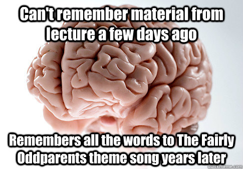 Can't remember material from lecture a few days ago Remembers all the words to The Fairly Oddparents theme song years later   Scumbag Brain