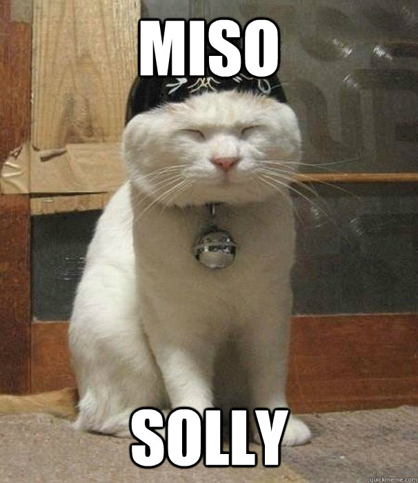 MiSO SOLLY - MiSO SOLLY  Asian Cat