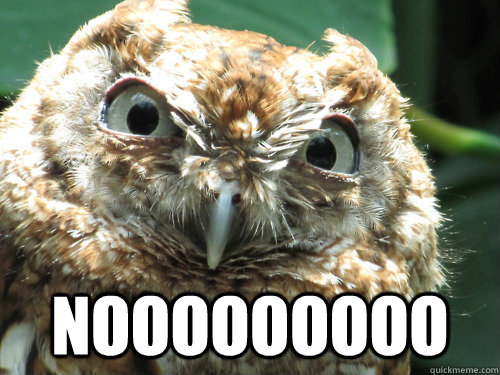 nooooooooo  noooooo