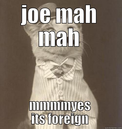 JOE MAH MAH MMMMYES ITS FOREIGN Original Business Cat