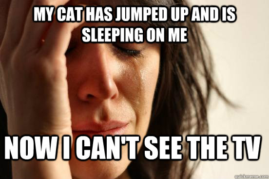 My cat has jumped up and is sleeping on me Now I can't see the TV  FirstWorldProblems