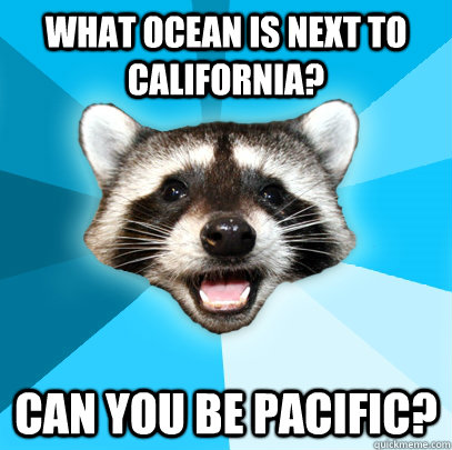 WHAT OCEAN IS NEXT TO CALIFORNIA? CAN YOU BE PACIFIC?   Lame Pun Coon