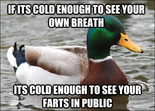 If its cold enough to see your own breath its cold enough to see your farts in public - If its cold enough to see your own breath its cold enough to see your farts in public  Actual Advice Mallard