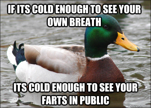 If its cold enough to see your own breath its cold enough to see your farts in public  Actual Advice Mallard