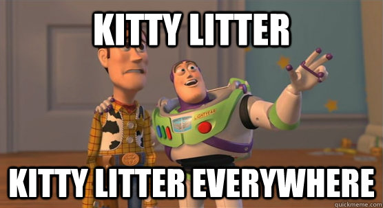Kitty litter kitty litter everywhere  Toy Story Everywhere