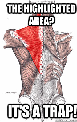 The highlighted area? It's a trap!  Anatomy