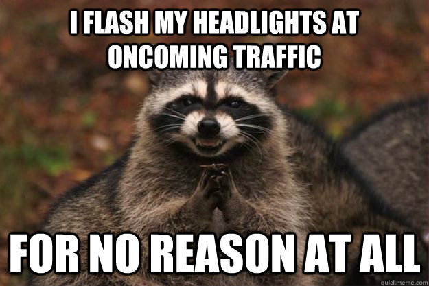 I flash my headlights at oncoming traffic for no reason at all  Evil Plotting Raccoon