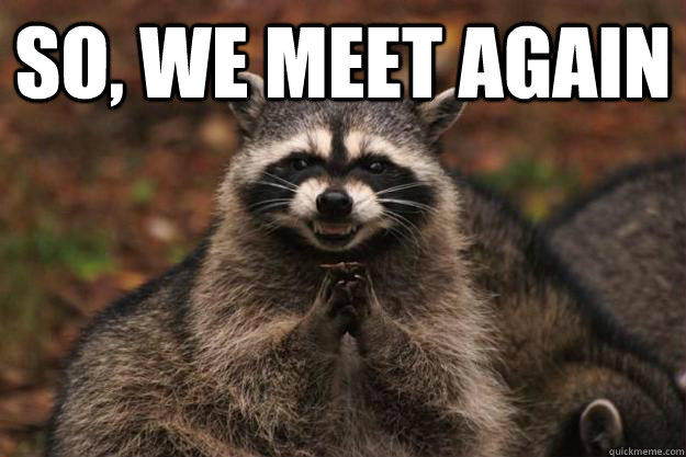 So, we meet again  - So, we meet again   Evil Plotting Raccoon