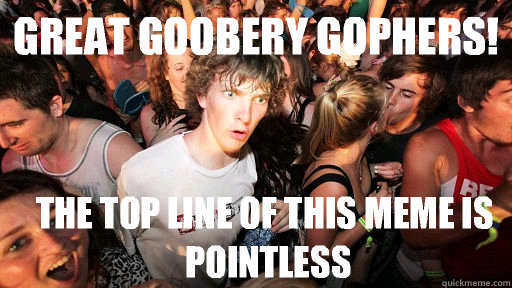 Great Goobery Gophers! The top line of this meme is pointless - Great Goobery Gophers! The top line of this meme is pointless  Sudden Clarity Clarence
