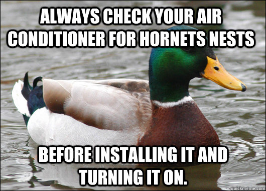 Always Check your air conditioner for hornets nests Before installing it and turning it on.  Actual Advice Mallard