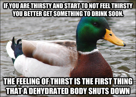 If you are thirsty and start to not feel thirsty you better get something to drink soon.  The feeling of thirst is the first thing that a dehydrated body shuts down  Actual Advice Mallard