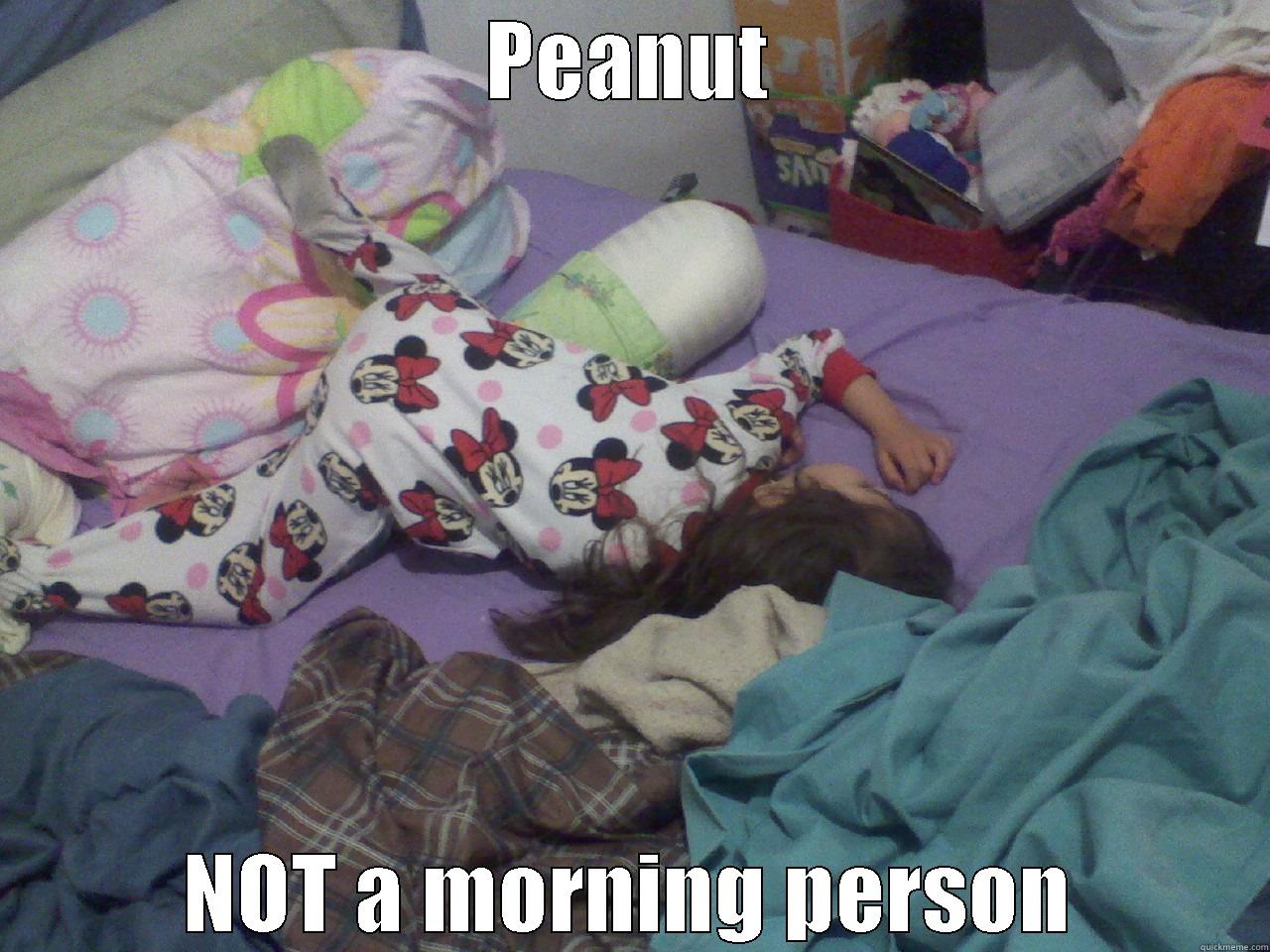 PEANUT NOT A MORNING PERSON Misc