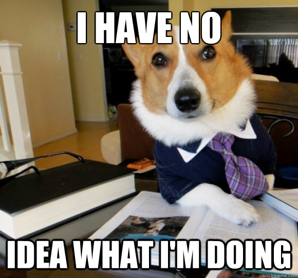 I have no idea what i'm doing  - I have no idea what i'm doing   Professor Corgi