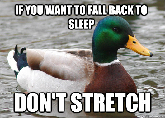 If you want to fall back to sleep don't stretch - If you want to fall back to sleep don't stretch  Actual Advice Mallard