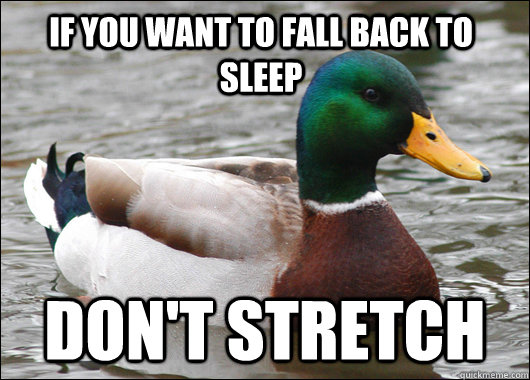 If you want to fall back to sleep don't stretch  Actual Advice Mallard