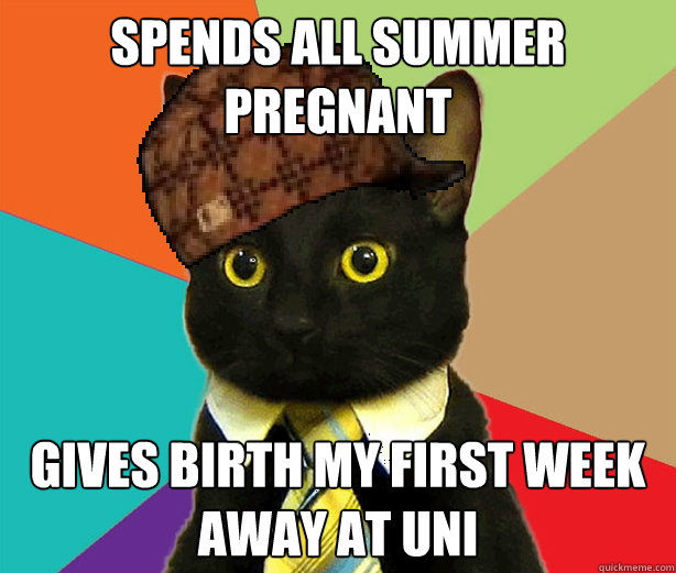 Spends all Summer pregnant Gives birth my first week away at uni  Scumbag Cat