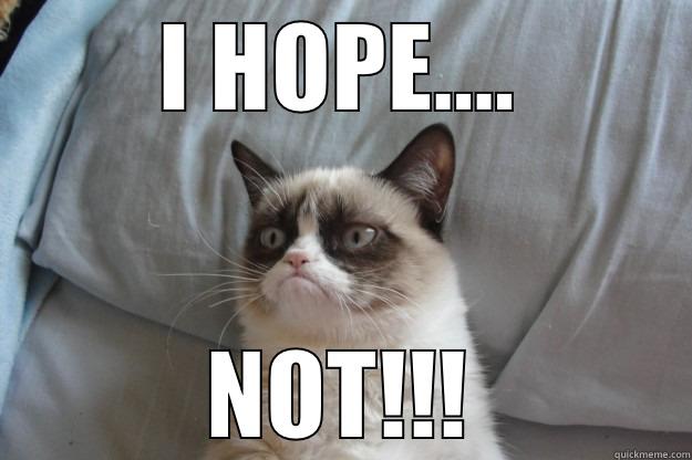 I HOPE.... NOT!!! Grumpy Cat
