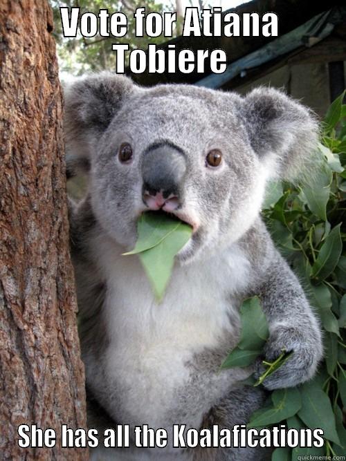 Hall Government - VOTE FOR ATIANA TOBIERE SHE HAS ALL THE KOALAFICATIONS koala bear