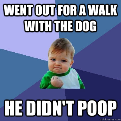 Went out for a walk with the dog He didn't poop  Success Kid