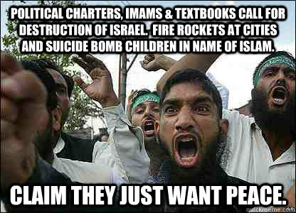 Political charters, Imams & Textbooks call for destruction of Israel.  Fire rockets at cities and suicide bomb children in name of Islam. Claim they just want peace.  