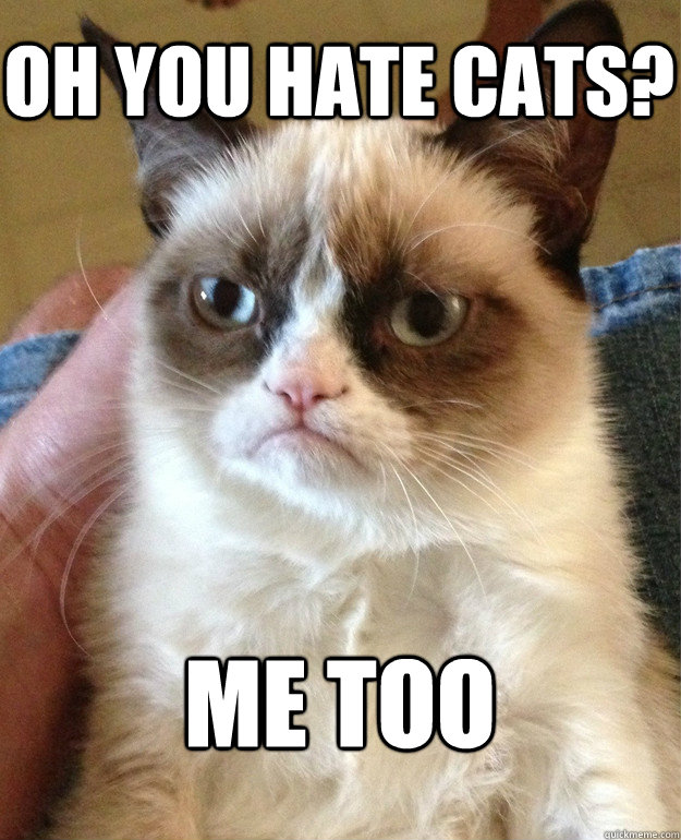 oh you hate cats? me too  Grumpy Cat