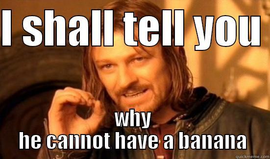 why he cant eat a banana :) - I SHALL TELL YOU  WHY HE CANNOT HAVE A BANANA Boromir