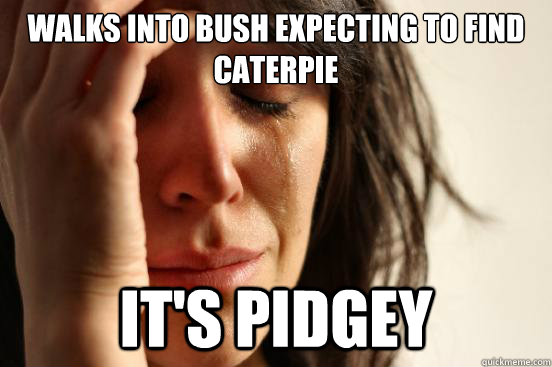 Walks into bush expecting to find caterpie it's pidgey  First World Problems