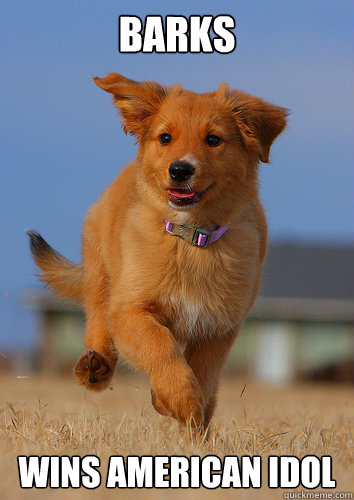 Barks wins american idol - Barks wins american idol  Ridiculously Photogenic Puppy