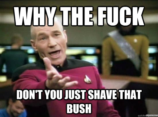 Why the fuck don't you just shave that bush  Annoyed Picard HD