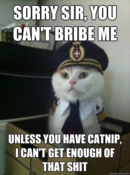 Sorry sir, You can't bribe me Unless you have catnip,    I can't get enough of that shit  Captain kitteh