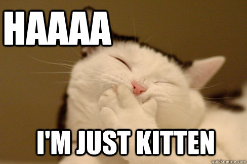 HAAAA I'm just kitten - HAAAA I'm just kitten  Laughing Cat
