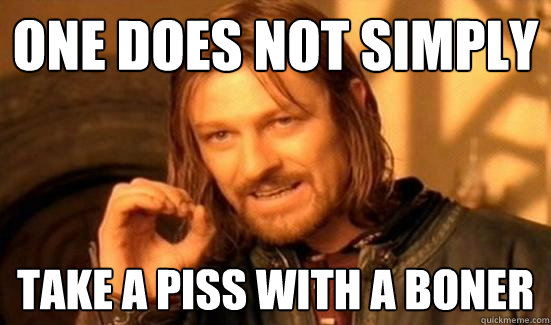one does not simply take a piss with a boner  Boromir