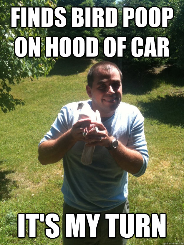 finds bird poop on hood of car it's my turn  