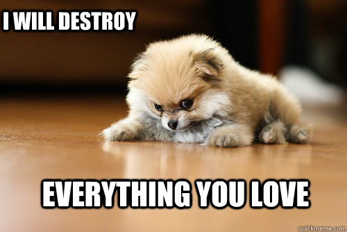Everything you love I will destroy - Everything you love I will destroy  Angry Puppy