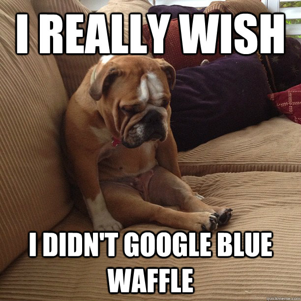 i really wish i didn't google blue waffle - i really wish i didn't google blue waffle  depressed dog