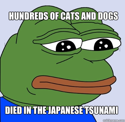 Hundreds of cats and dogs  died in the Japanese Tsunami   