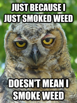 just because i just smoked weed doesn't mean i smoke weed  