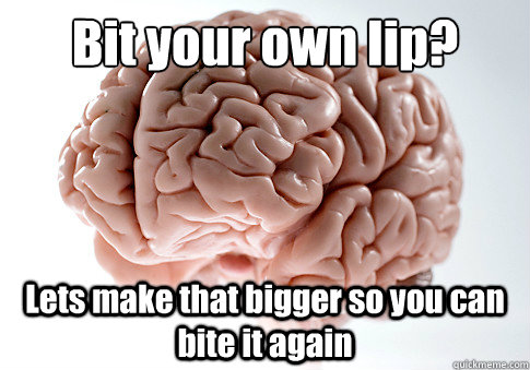 Bit your own lip? Lets make that bigger so you can bite it again  Scumbag Brain