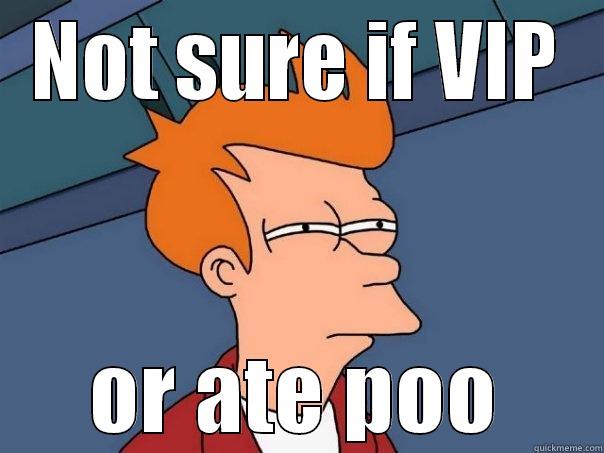 NOT SURE IF VIP OR ATE POO Futurama Fry