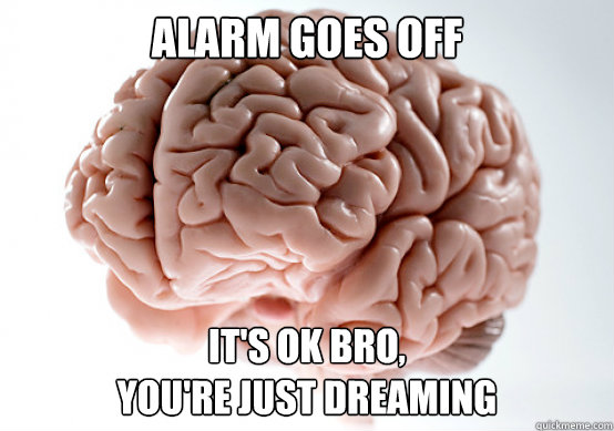 Alarm goes off It's ok bro, 
you're just dreaming  Scumbag brain on life