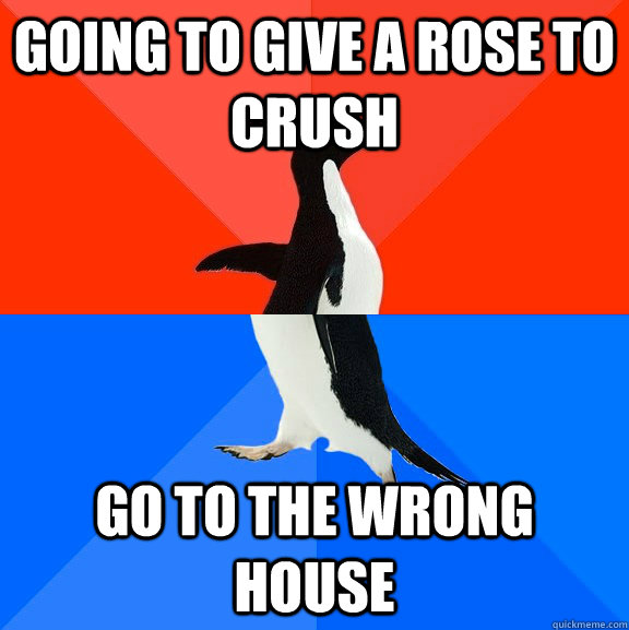 Going to give a rose to crush Go to the wrong house  Socially Awesome Awkward Penguin