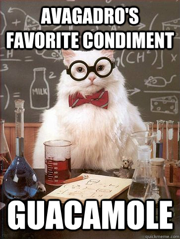 Avagadro's Favorite condiment guacamole  Science Cat