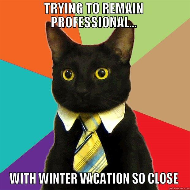 winter's coming - TRYING TO REMAIN PROFESSIONAL... WITH WINTER VACATION SO CLOSE Business Cat