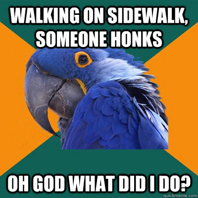 walking on sidewalk, someone honks oh god what did i do?  Paranoid Parrot