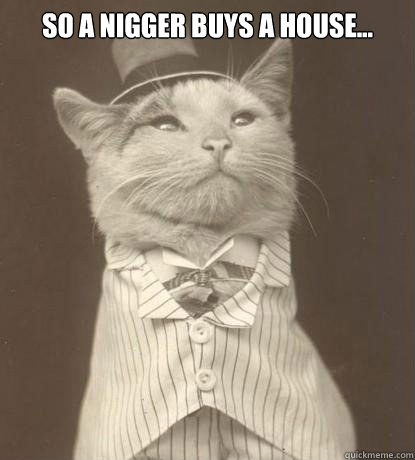 so a nigger buys a house...  - so a nigger buys a house...   Aristocat