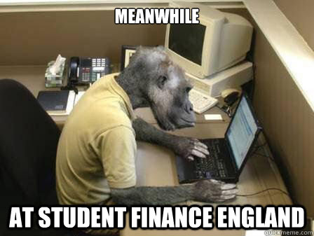 Meanwhile  At Student Finance England  Code Monkey