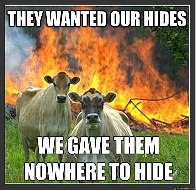 They wanted our hides we gave them nowhere to hide  Evil cows