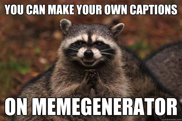You can make your own captions on MemeGenerator   Evil Plotting Raccoon